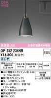 OP252234NR