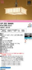 OP252389BR