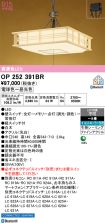 OP252391BR
