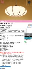 OP252401BR