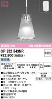 OP252543NR