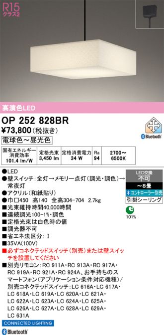 OP252828BR