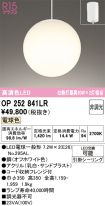 OP252841LR