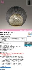 OP252861BR