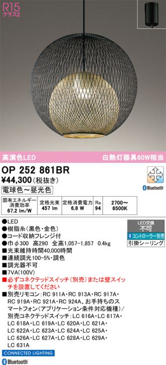OP252861BR