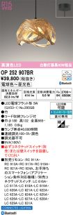 OP252907BR