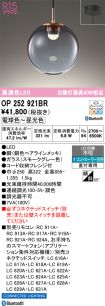 OP252921BR