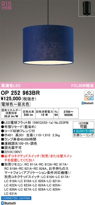 OP252963BR