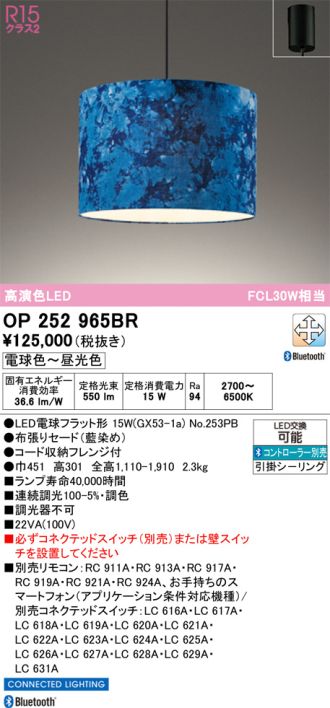 OP252965BR