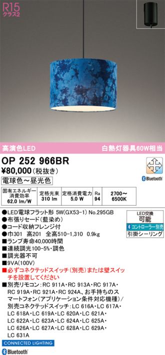 OP252966BR