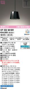 OP252981BR