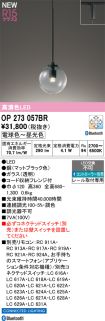 OP273057BR