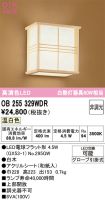 OB255329WDR