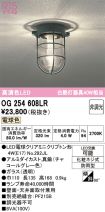 OG254608LR