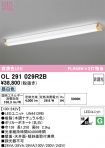 OL291029R2B