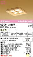 OD301263WR