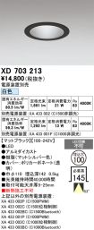 XD703213