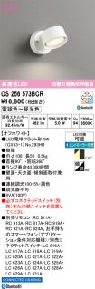 OS256573BCR
