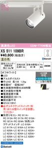 XS511109BR