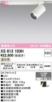 XS613103H