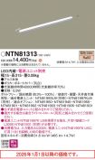 NTN81313