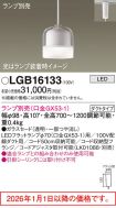 LGB16133