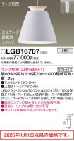LGB16707