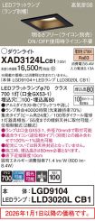 XAD3124LCB1