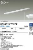 DSY-4393WWGE