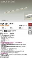 DSY-5613YW