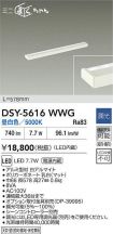 DSY-5616WWG