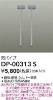 DP-00313S