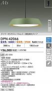 DPN-42066