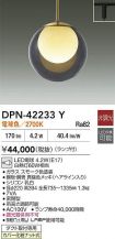 DPN-42233Y