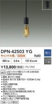DPN-42503YG