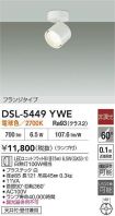 DSL-5449YWE