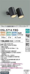 DSL-5714FBG