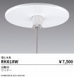 RK618W