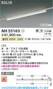 AH55163