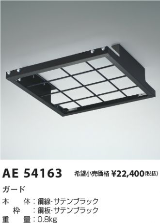 AE54163