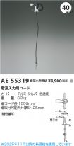 AE55319