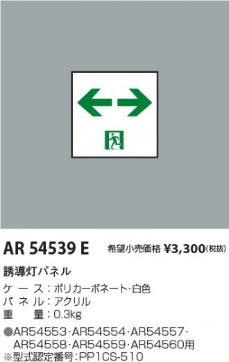 AR54539E