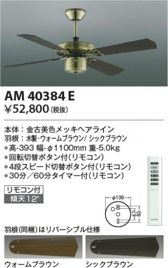 AM40384E