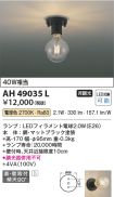AH49035L