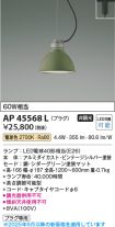 AP45568L