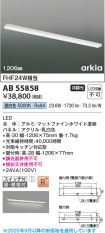 AB55858