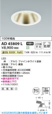 AD45809L