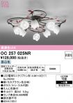OC257025NR
