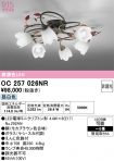 OC257026NR