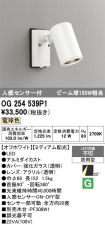 OG254539P1
